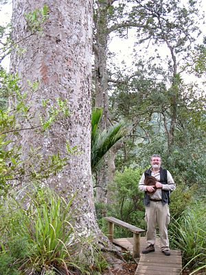 Paul Beside a Kauri Tree in Waitakare Mountains Auckland
